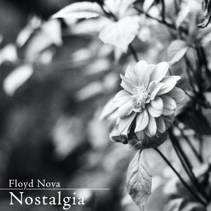 在线播放妃光莉妃ひかり
