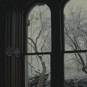 在线播放妃光莉妃ひかり
