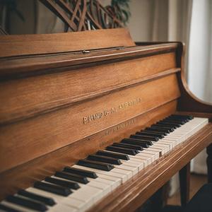 在线播放妃光莉妃ひかり
